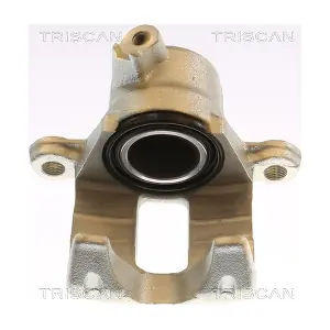 TRISCAN 8175 13226