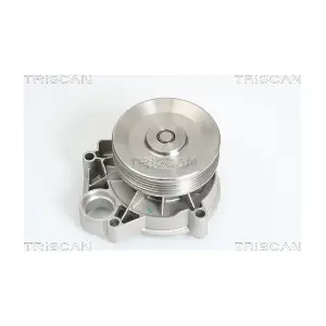 860011009 TRISCAN