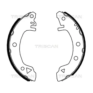 TRISCAN 810016375