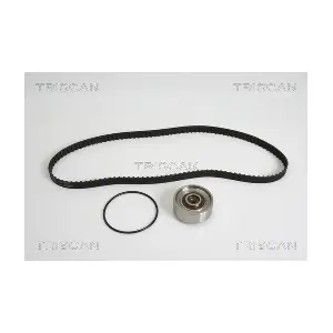 8647 29002 TRISCAN