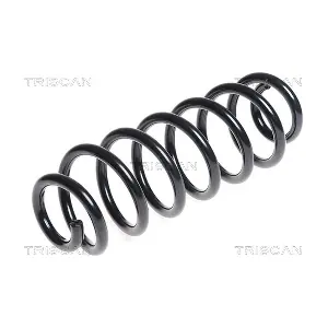 65080 TRISCAN