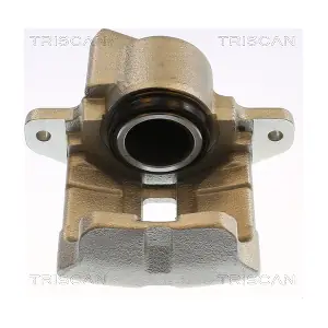 TRISCAN 8175 25101