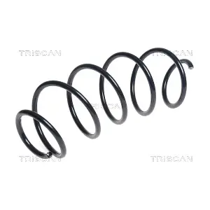 875028255 TRISCAN