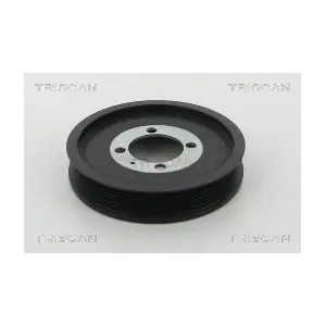 TRISCAN 8643 24006