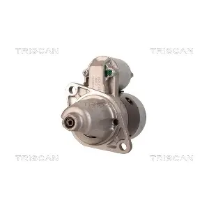 8305 10058 TRISCAN
