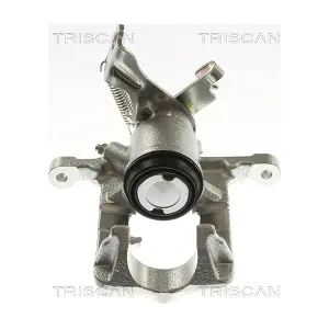 TRISCAN 8175 10232