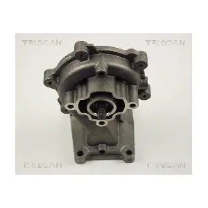 TRISCAN 860016019