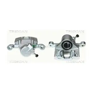 TRISCAN 8170342784