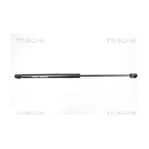 8710 16251 TRISCAN