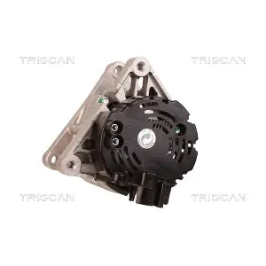 8310 13043 TRISCAN