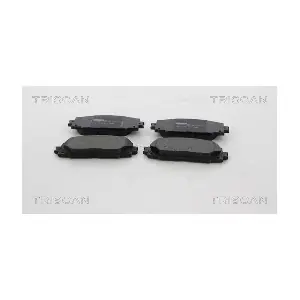 TRISCAN 8110 13095