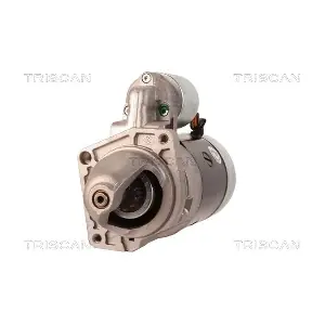 8305 11010 TRISCAN