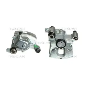 TRISCAN 8170342495