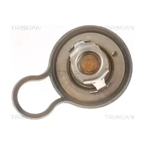 8620 55484 TRISCAN
