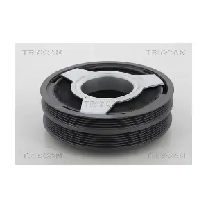TRISCAN 8643 29007