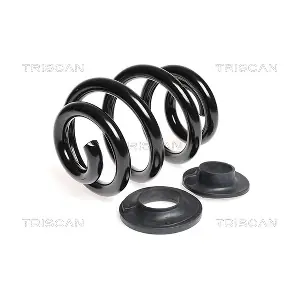 8750 29136 TRISCAN