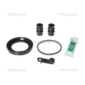 8170 205724 TRISCAN