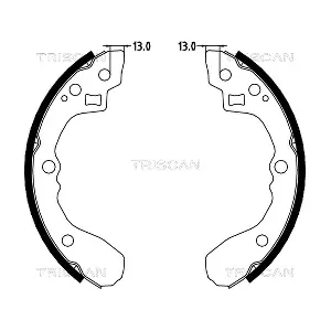 810018001 TRISCAN