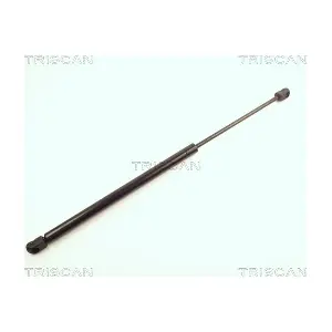 8710 24208 TRISCAN