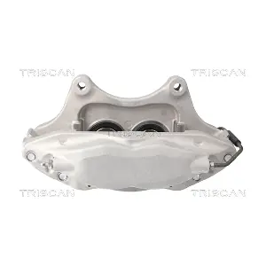 TRISCAN 8175 81102