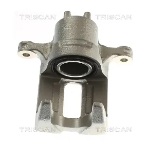 8175 40220 TRISCAN