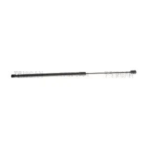 8710 16309 TRISCAN