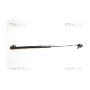 462008 TRISCAN