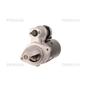 8305 29017 TRISCAN