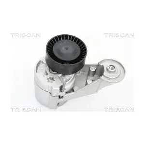 TRISCAN 8641 273002