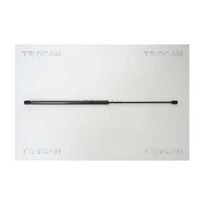 8710 67100 TRISCAN
