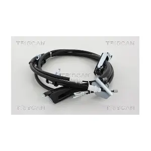 302065 TRISCAN