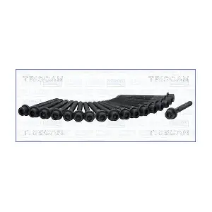 984519 TRISCAN