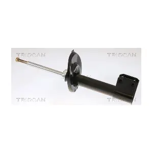 8705 28118 TRISCAN