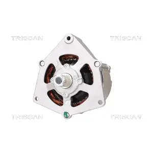 TRISCAN 8310 10133