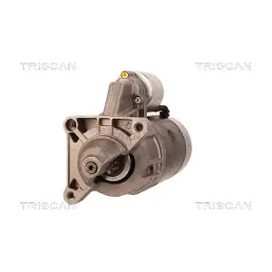 TRISCAN 8305 29022