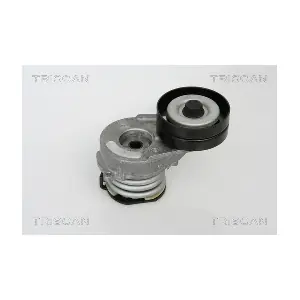 TRISCAN 8641 243009