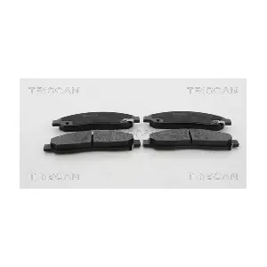 TRISCAN 8110 60002