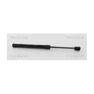 8710 20111 TRISCAN
