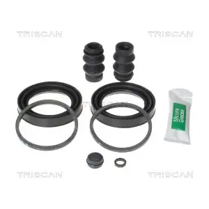 8170 204876 TRISCAN