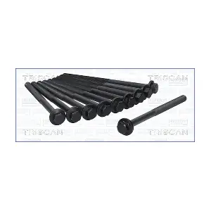 TRISCAN 98-5019