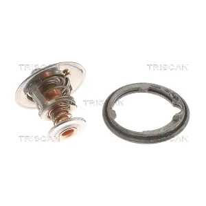 TRISCAN 86205078