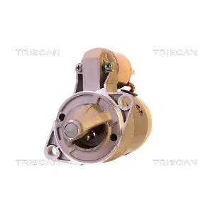 8305 29035 TRISCAN