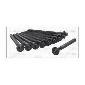 98-6013 TRISCAN
