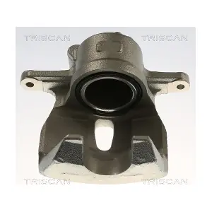 8175 13137 TRISCAN