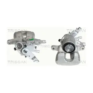 TRISCAN 8170343896