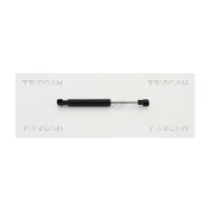 871016256 TRISCAN