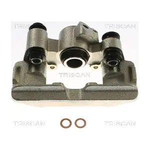 8175 13219 TRISCAN