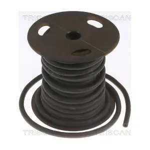 88055 TRISCAN