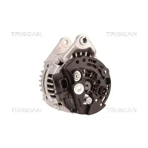 TRISCAN 8310 29039