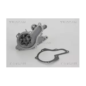 8600 69010 TRISCAN